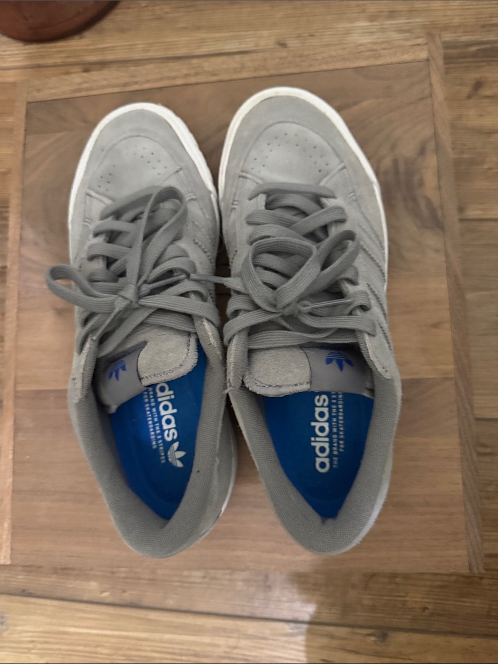 adidas Nora Gray Suede Low-Top Sneakers with Blue Insole